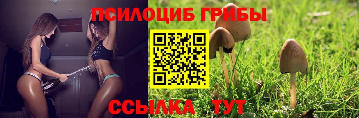 Златоуст  Галлюциногенные грибы GOLDEN TEACHER  Вход с VPN 